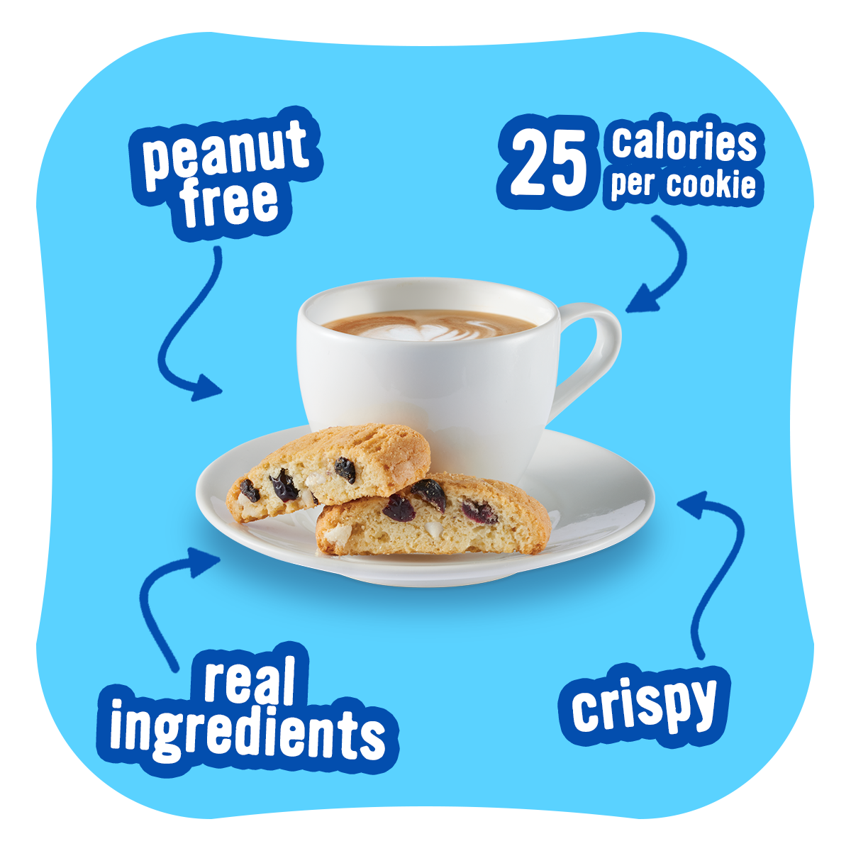 Blueberry Lemon Twice Baked Biscotti Cookies – Cooper Street