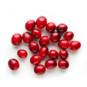 Cranberry Michigan ingredient
